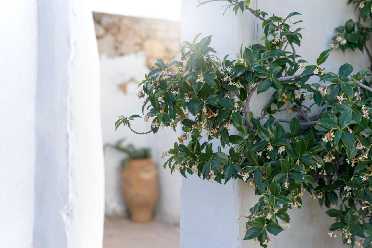 Traditional Cretan House Lithostrati Karidi Village Ngoại thất bức ảnh